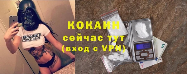 прущие грибы Осинники